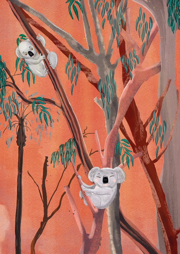 Dreamy Koalas