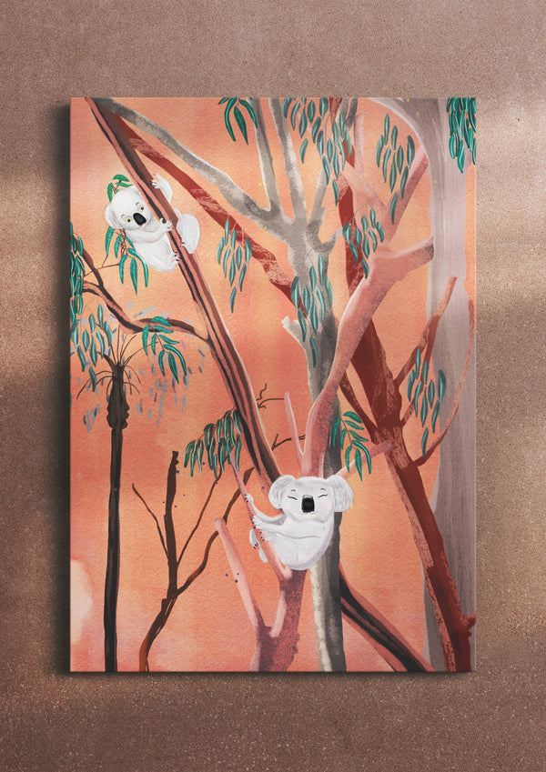 Dreamy Koalas