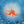 The Happy Octopus